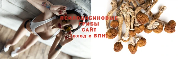 mdpv Алзамай
