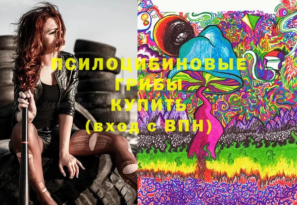метадон Алексин