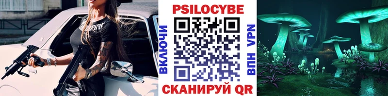 Псилоцибиновые грибы Psilocybe  MEGA ТОР  Петров Вал  купить наркотик 
